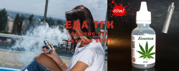 хмурый Магас