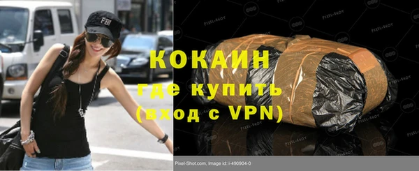 хмурый Магас