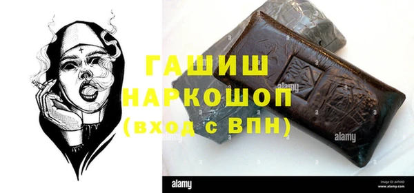 хмурый Магас