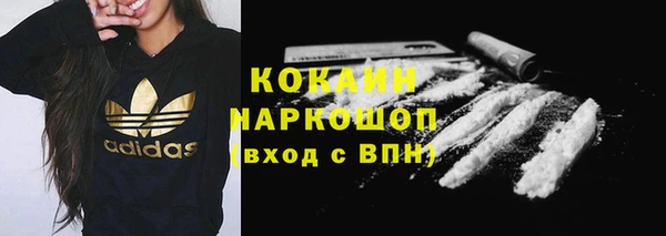 хмурый Магас