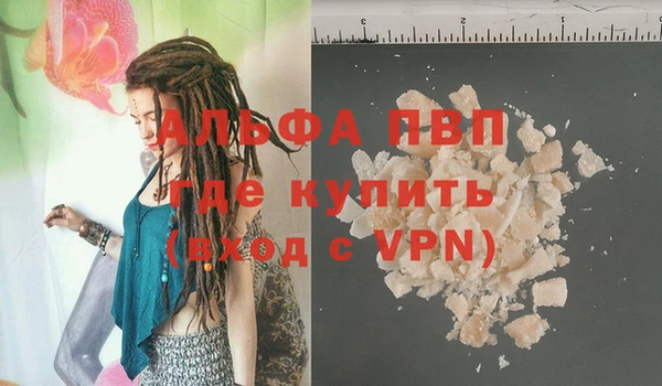 хмурый Магас