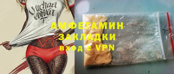 хмурый Магас